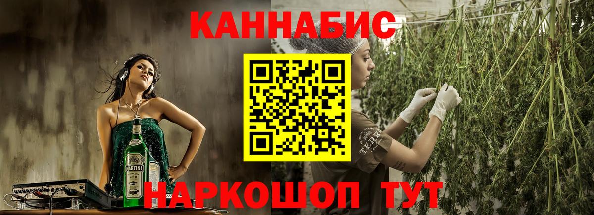 Конопля гибрид Семёнов